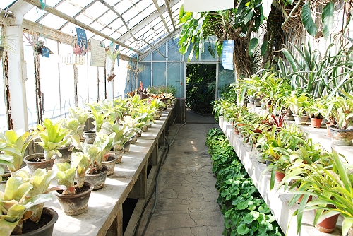 養植物室